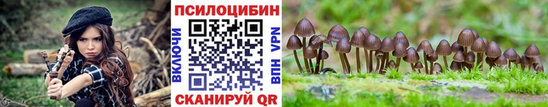 Псилоцибиновые грибы ЛСД  продажа наркотиков  Истра 