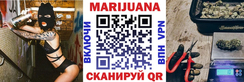 Конопля гибрид  Истра 